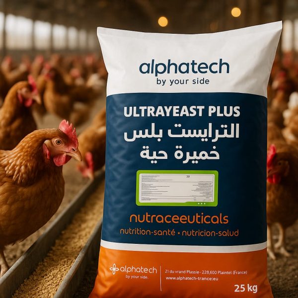 Ultra Yeast Plus